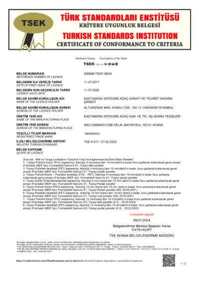 Kastamonu Entegre TSEK 08 04