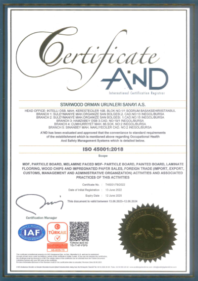 Starwood ISO-45001.2018 EN